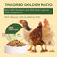 Dried Black Soldier Fly Larvae for Poultry – High-Protein Treats