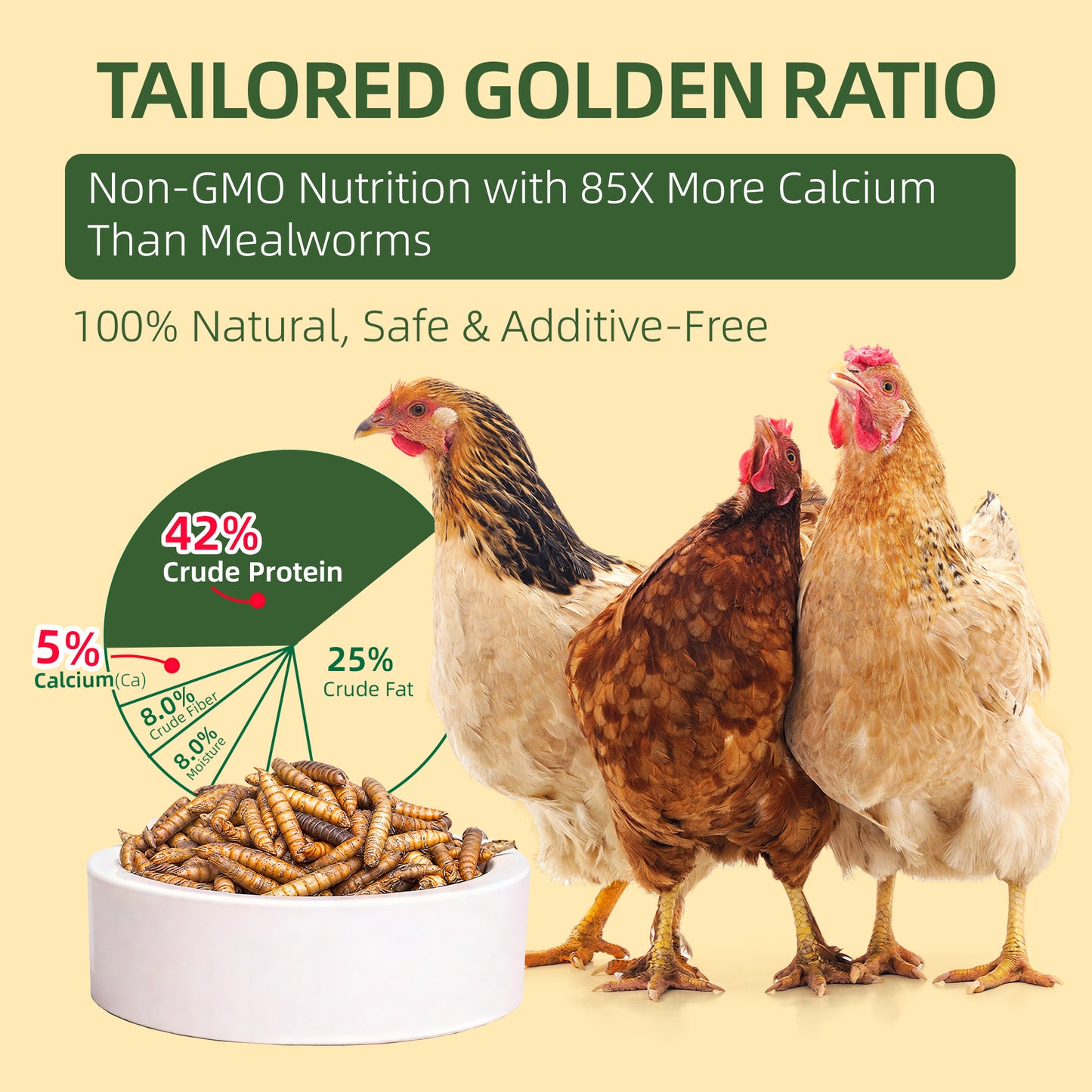 Dried Black Soldier Fly Larvae for Poultry – High-Protein Treats