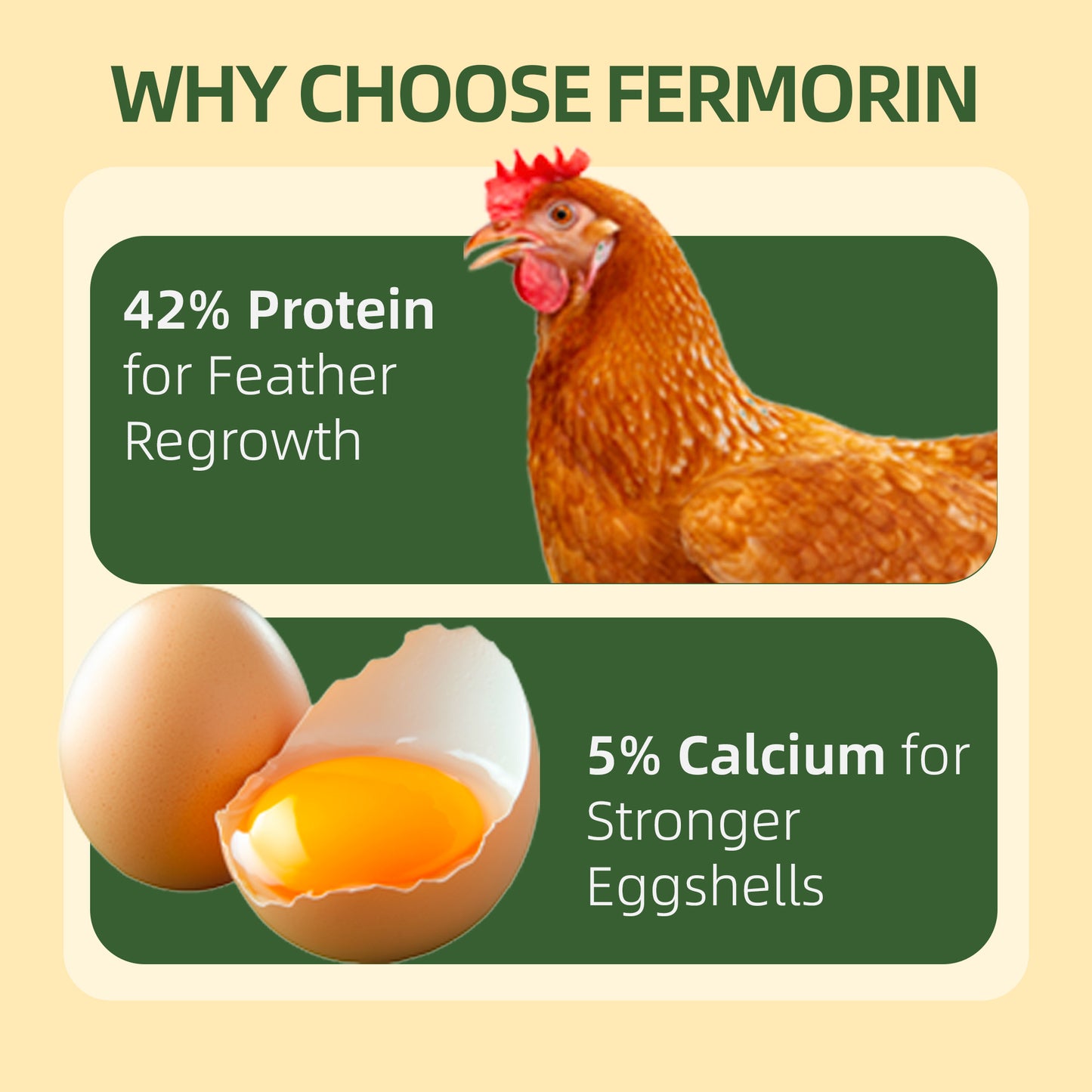 Dried Black Soldier Fly Larvae for Poultry – High-Protein Treats
