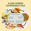 Dried Black Soldier Fly Larvae for Poultry – High-Protein Treats