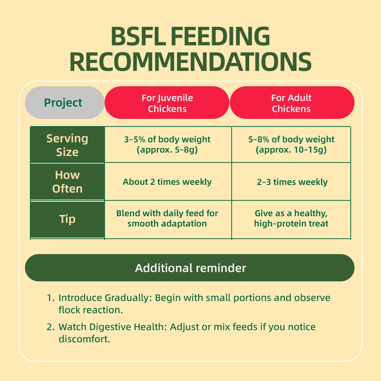 Dried Black Soldier Fly Larvae for Poultry – High-Protein Treats