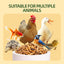 Dried Black Soldier Fly Larvae for Poultry – High-Protein Treats