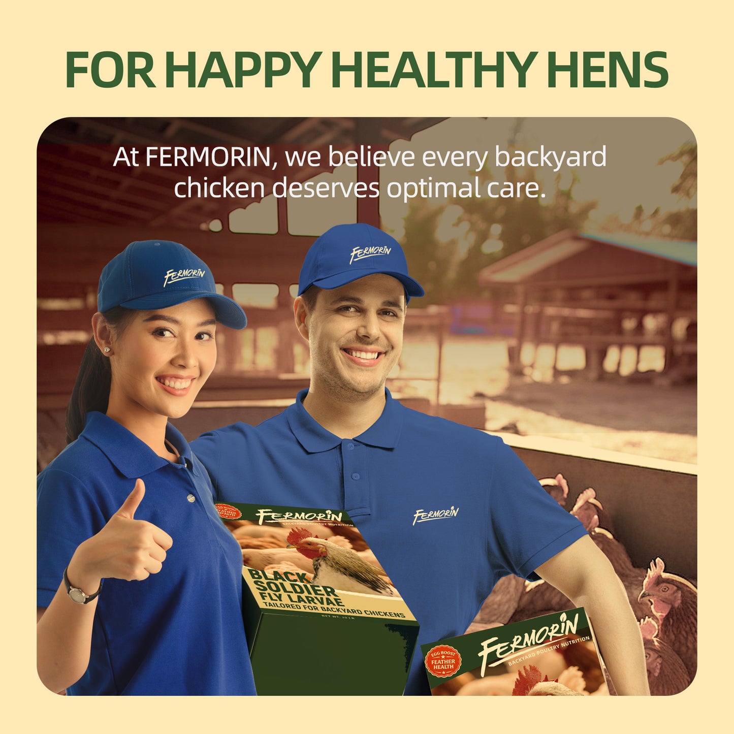 Dried Black Soldier Fly Larvae for Poultry – High-Protein Treats