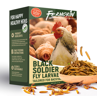Dried Black Soldier Fly Larvae for Poultry – High-Protein Treats